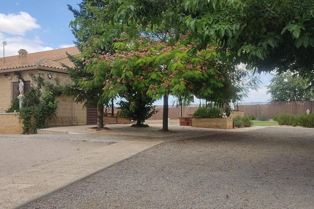 Finca El Pilar Madridejos Kültér fotó