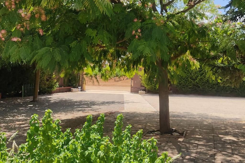 Finca El Pilar Madridejos Kültér fotó