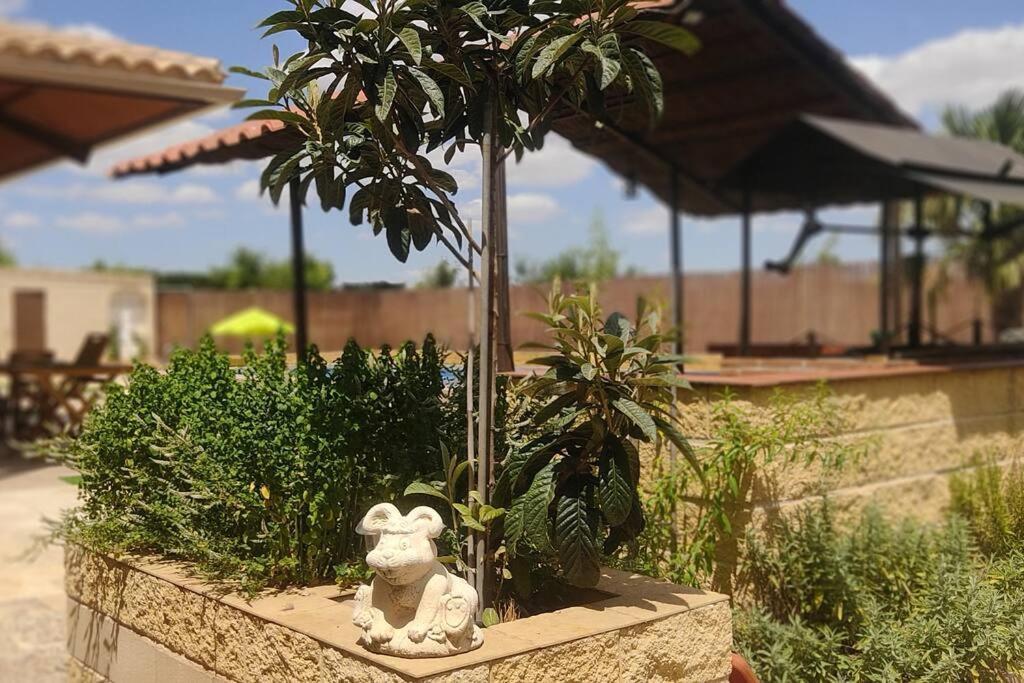 Finca El Pilar Madridejos Kültér fotó