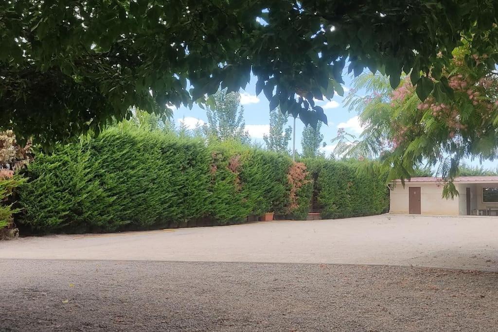 Finca El Pilar Madridejos Kültér fotó